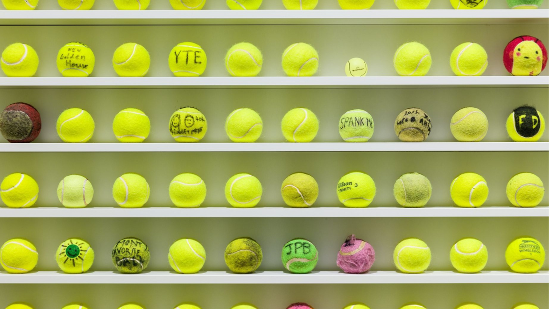David Shrigley X Walyalup I Fremantle Arts Centre