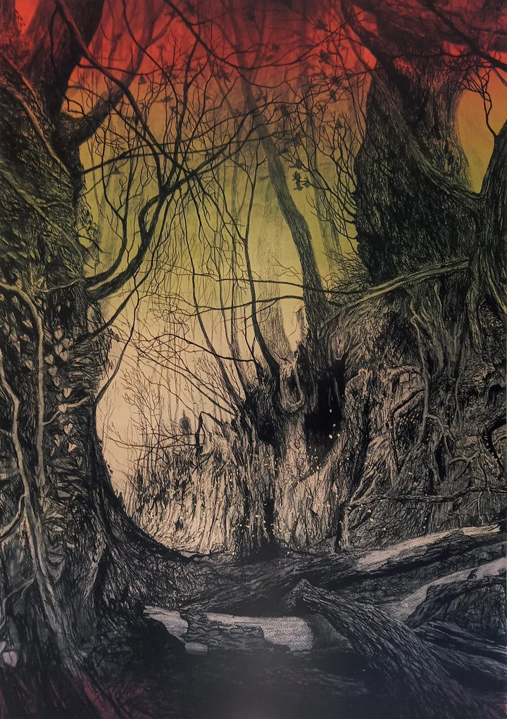 Saint Jealous - Forests Without Frontiers and For a Better World