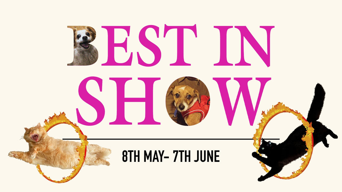 Best In Show