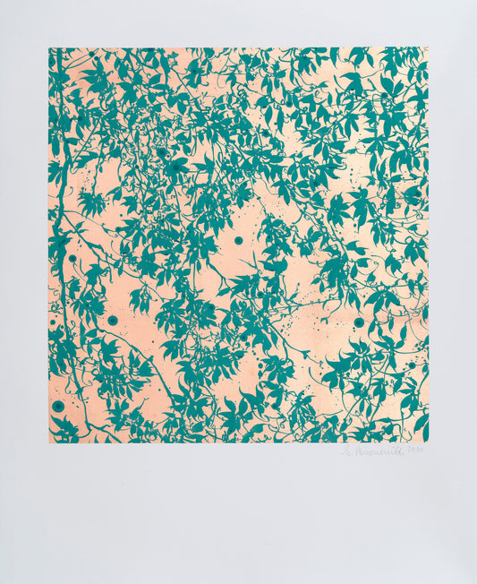 The Stars Can Only Get Brighter