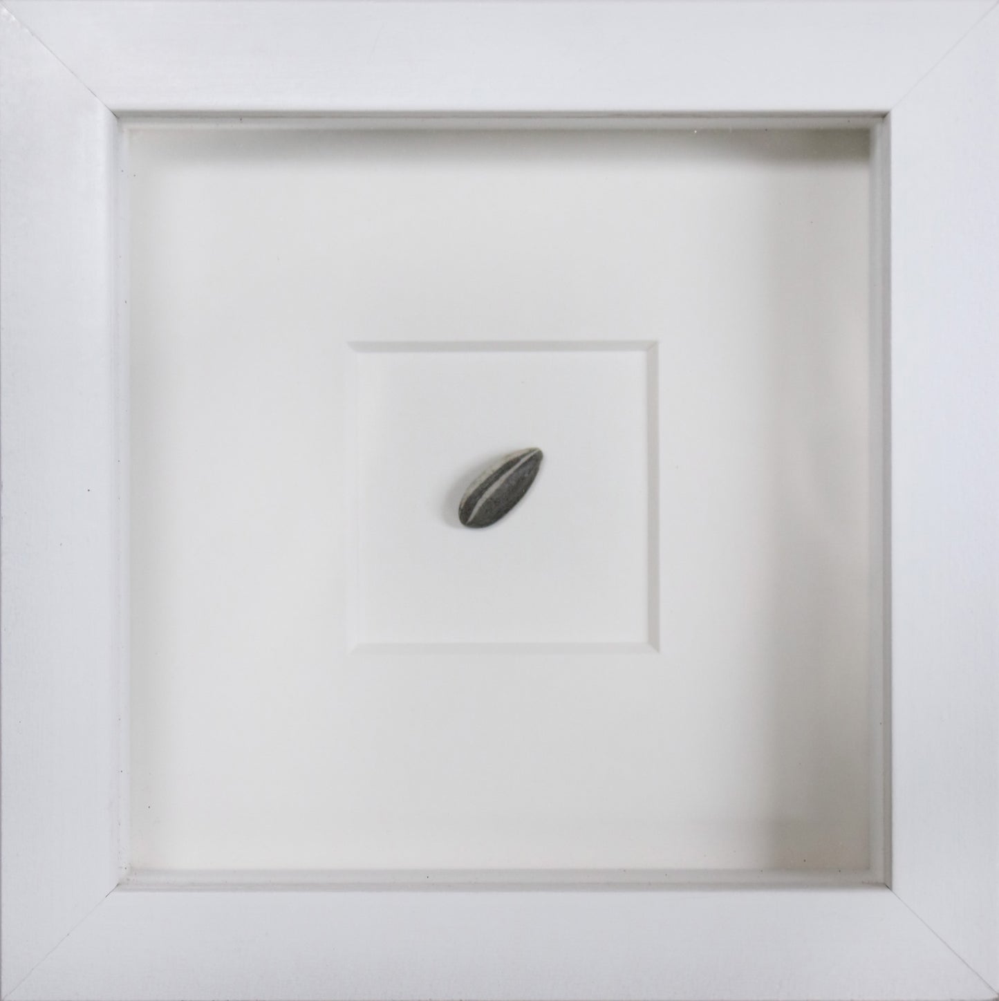 Ai Wei Wei Sunflower Seed