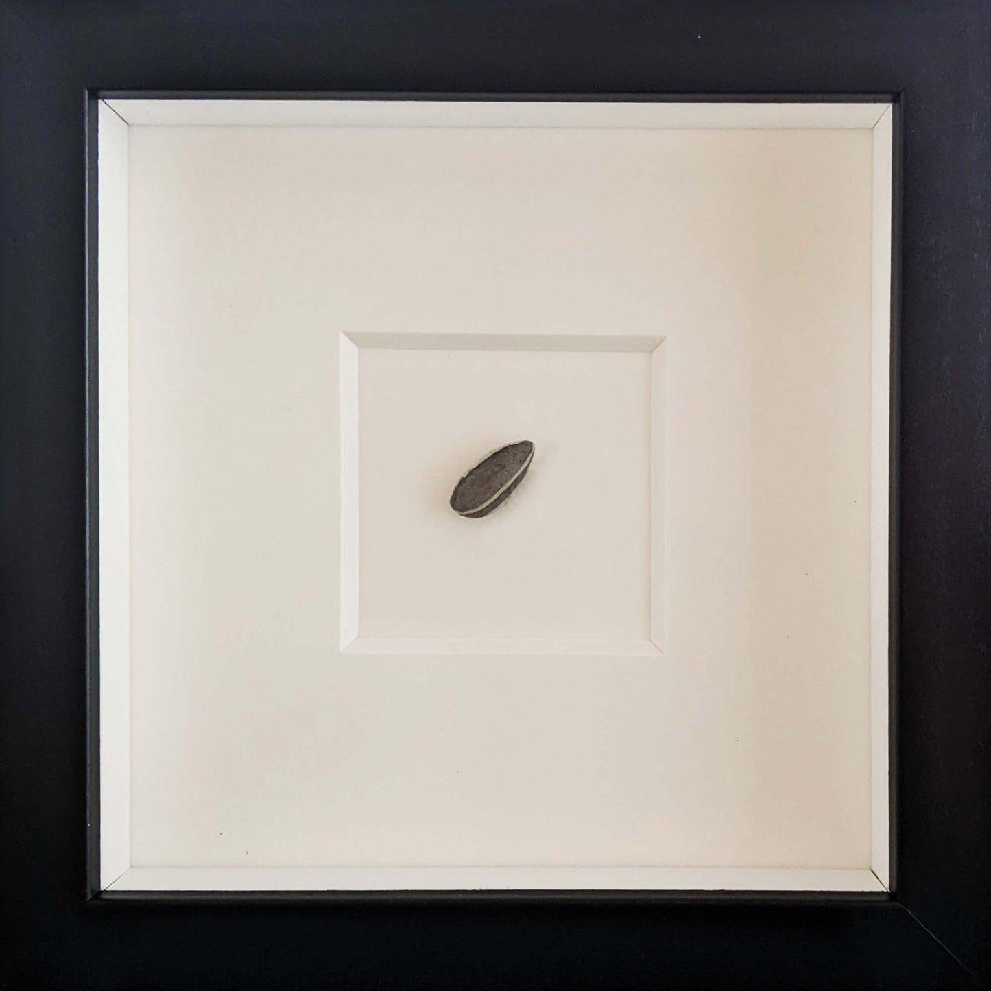 Ai Wei Wei Sunflower Seed