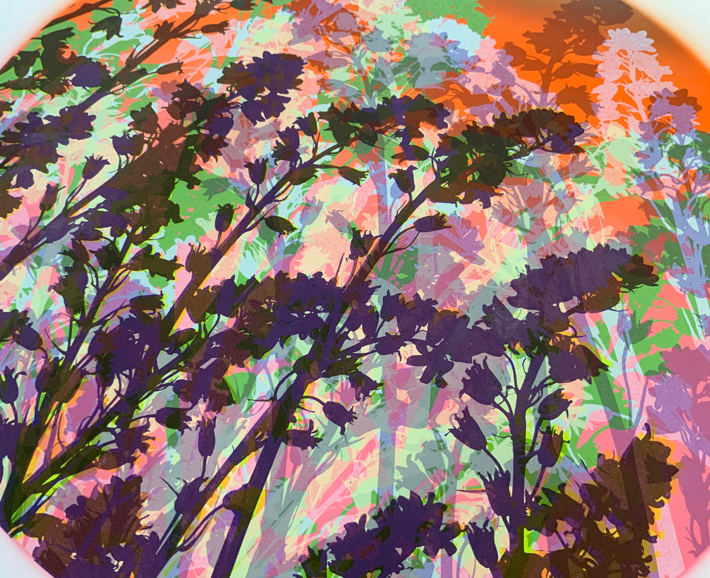 Bluebells 34