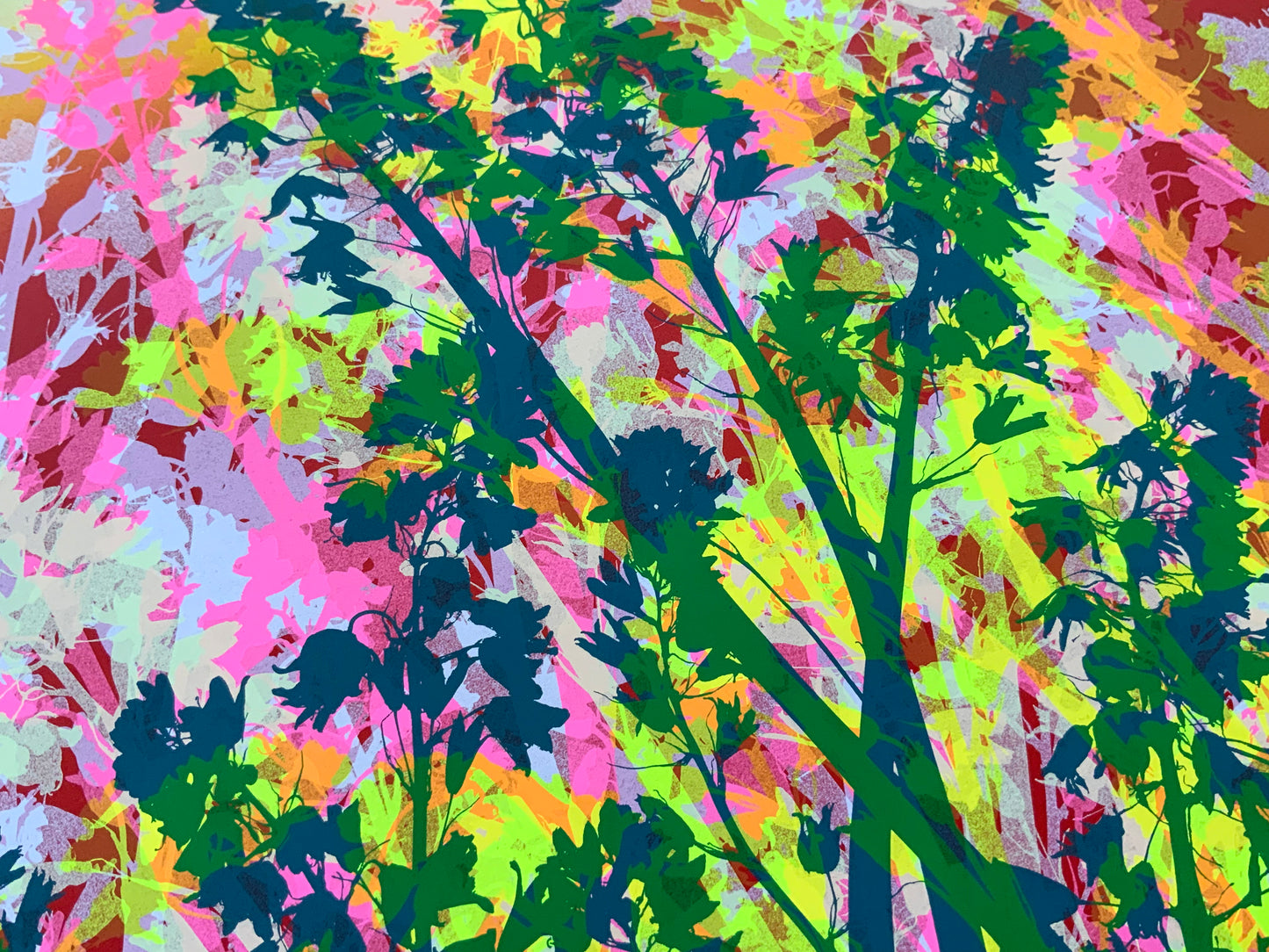 Bluebells 35
