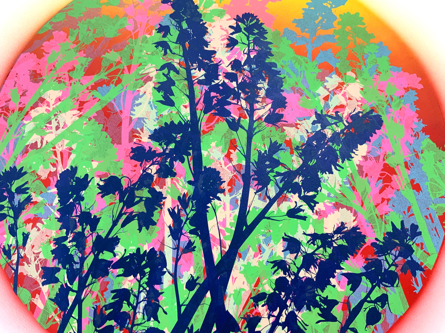 Bluebells 38