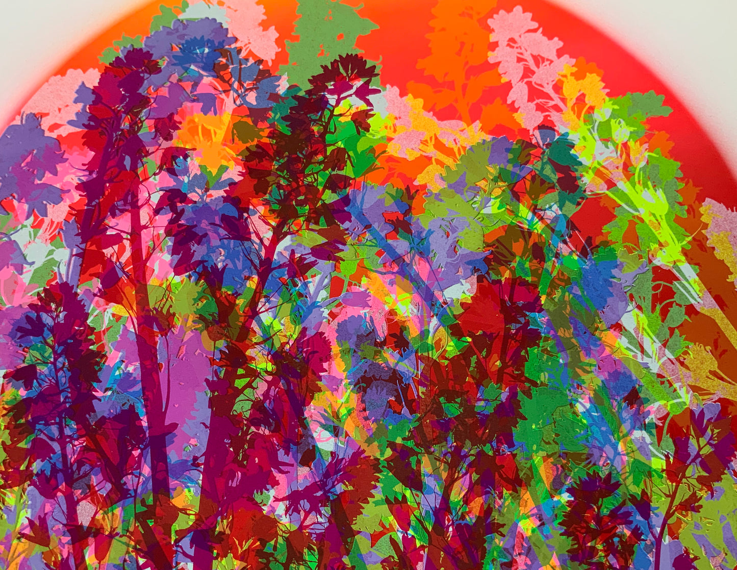 Bluebells 42
