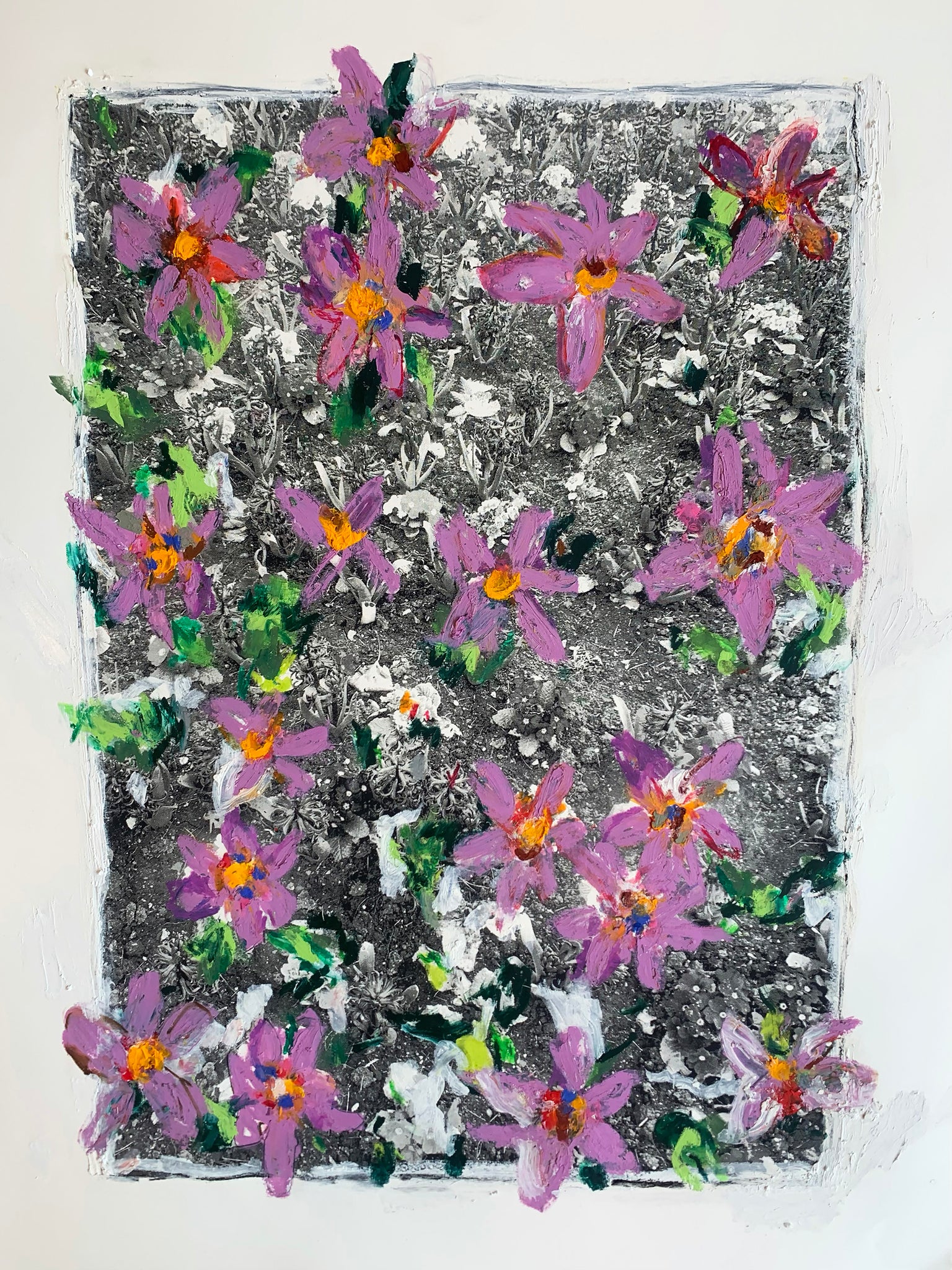 Blooms - Purple