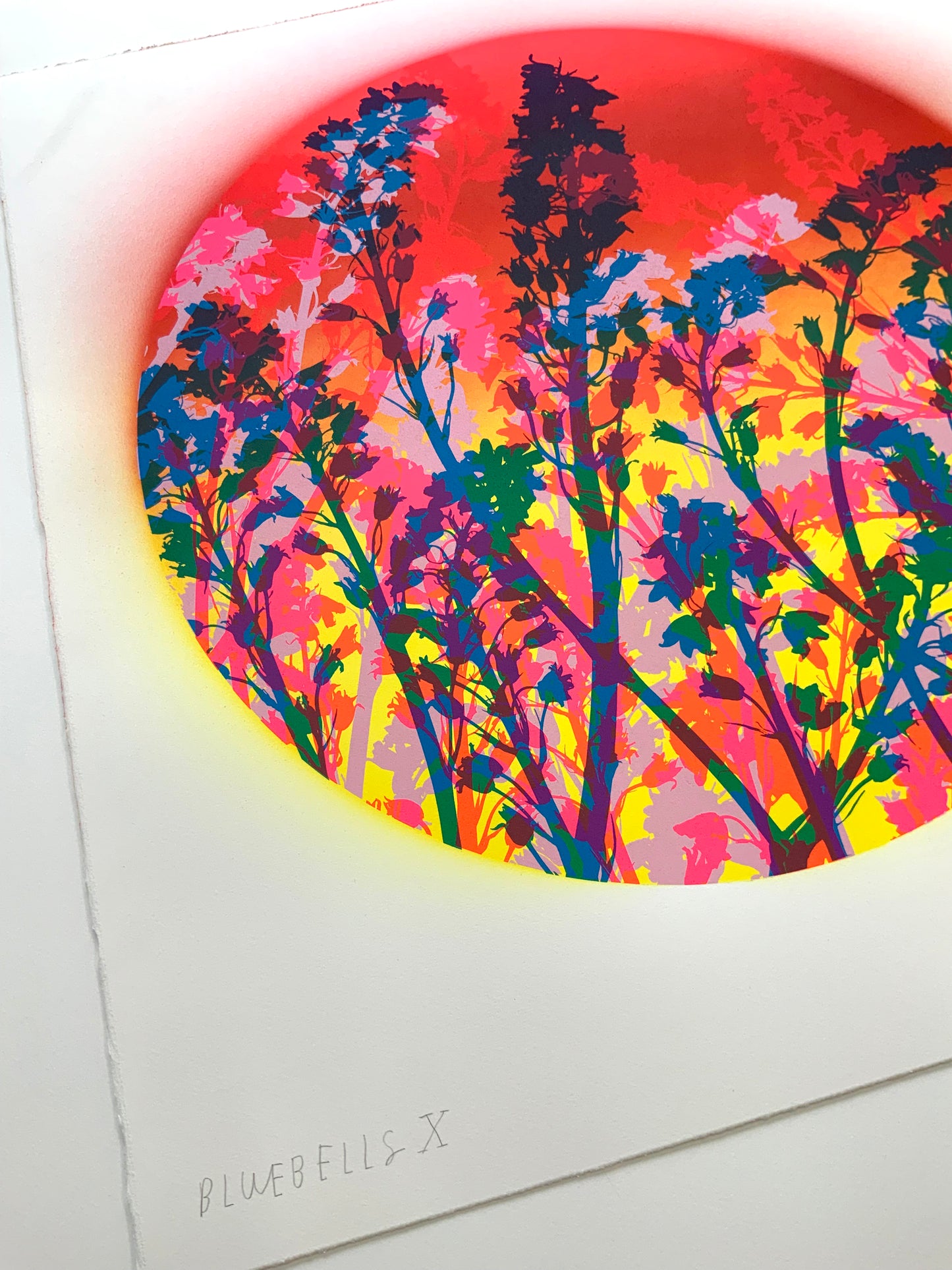 Bluebells 10
