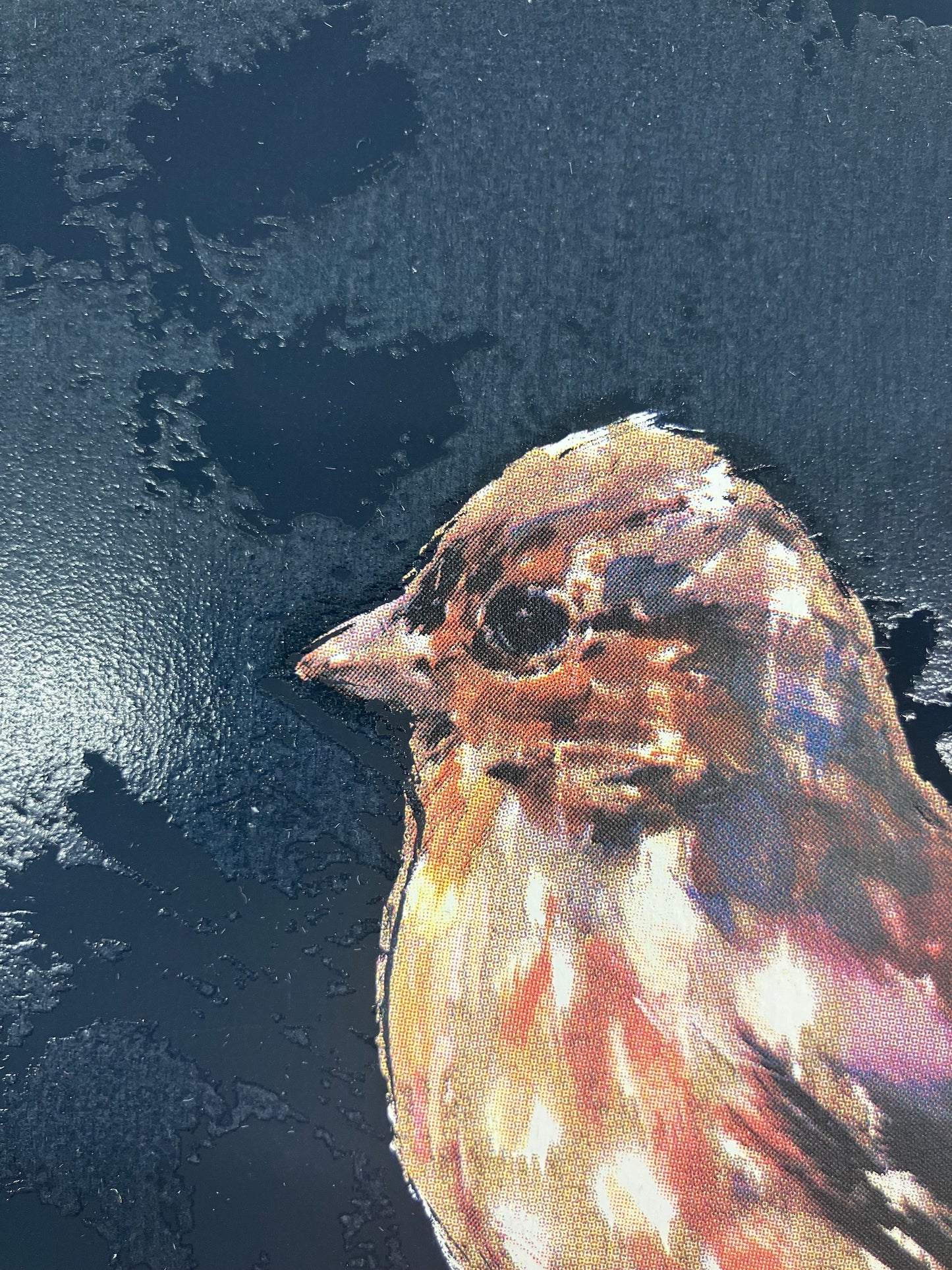 Small Wonders - Chaffinch