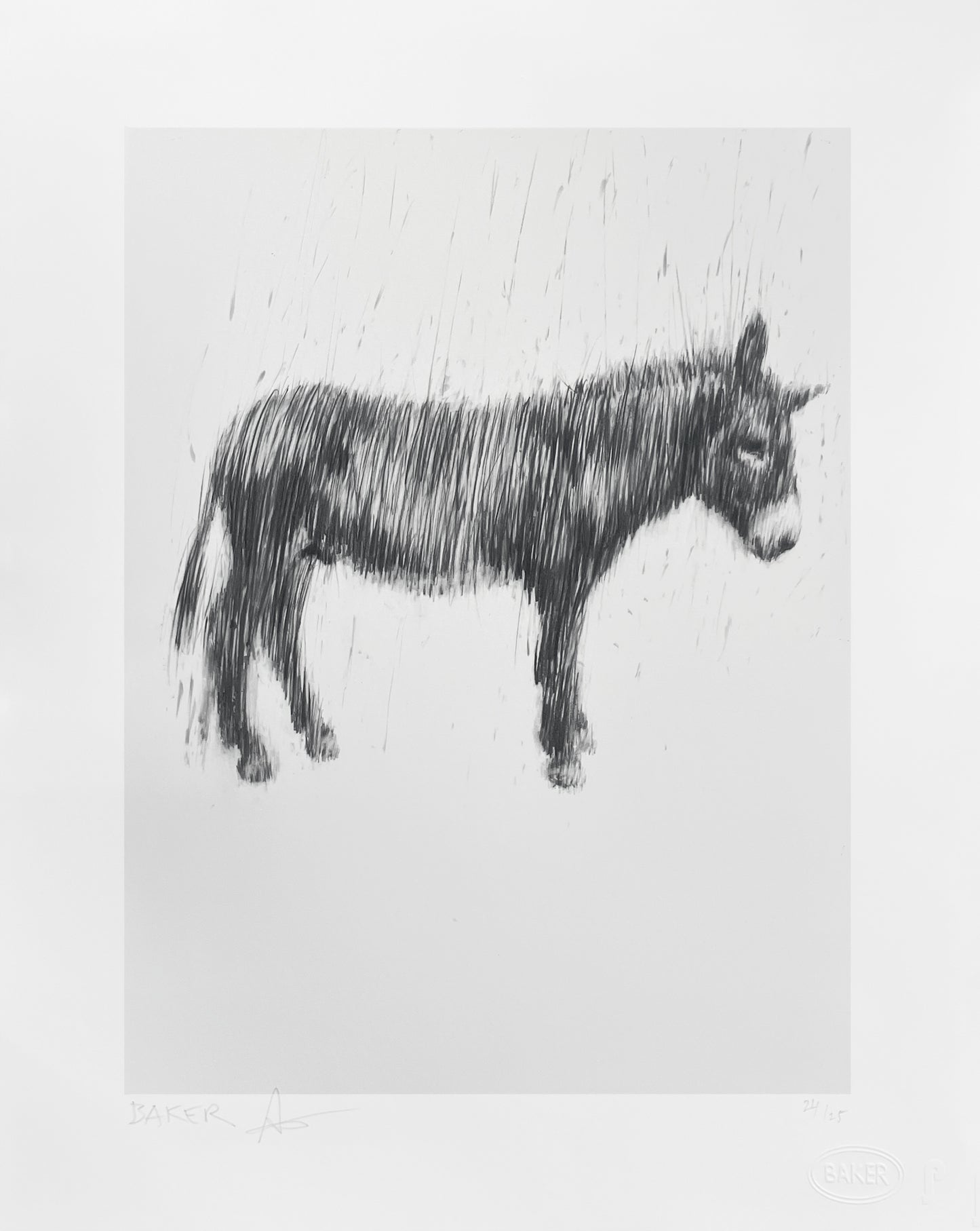 Last Donkey