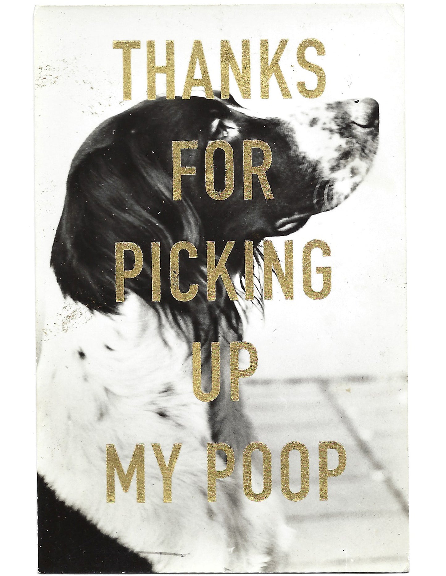 Thanks...