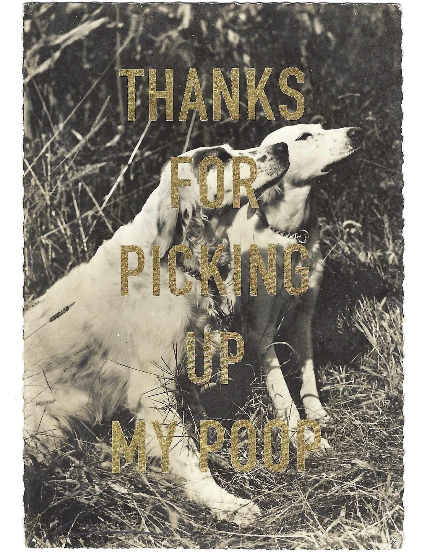 Thanks...