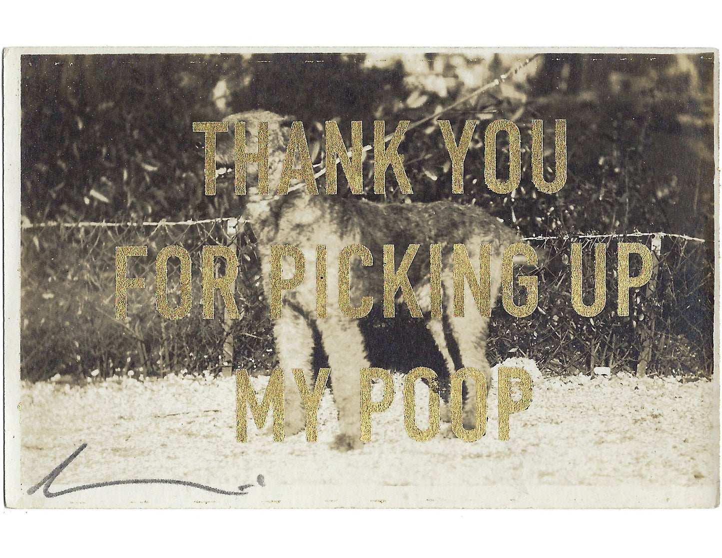 Thanks...