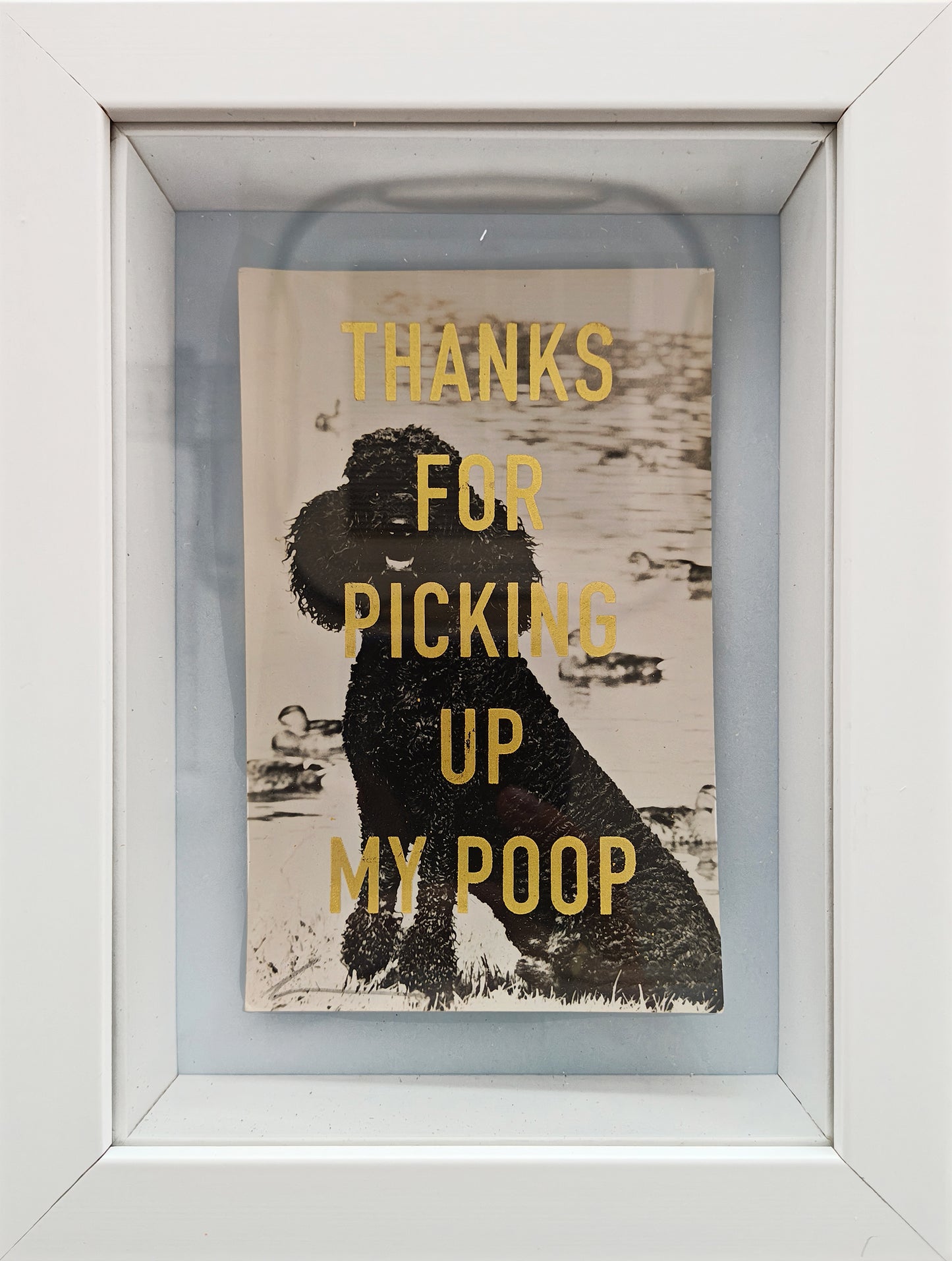 Thanks... (Framed)