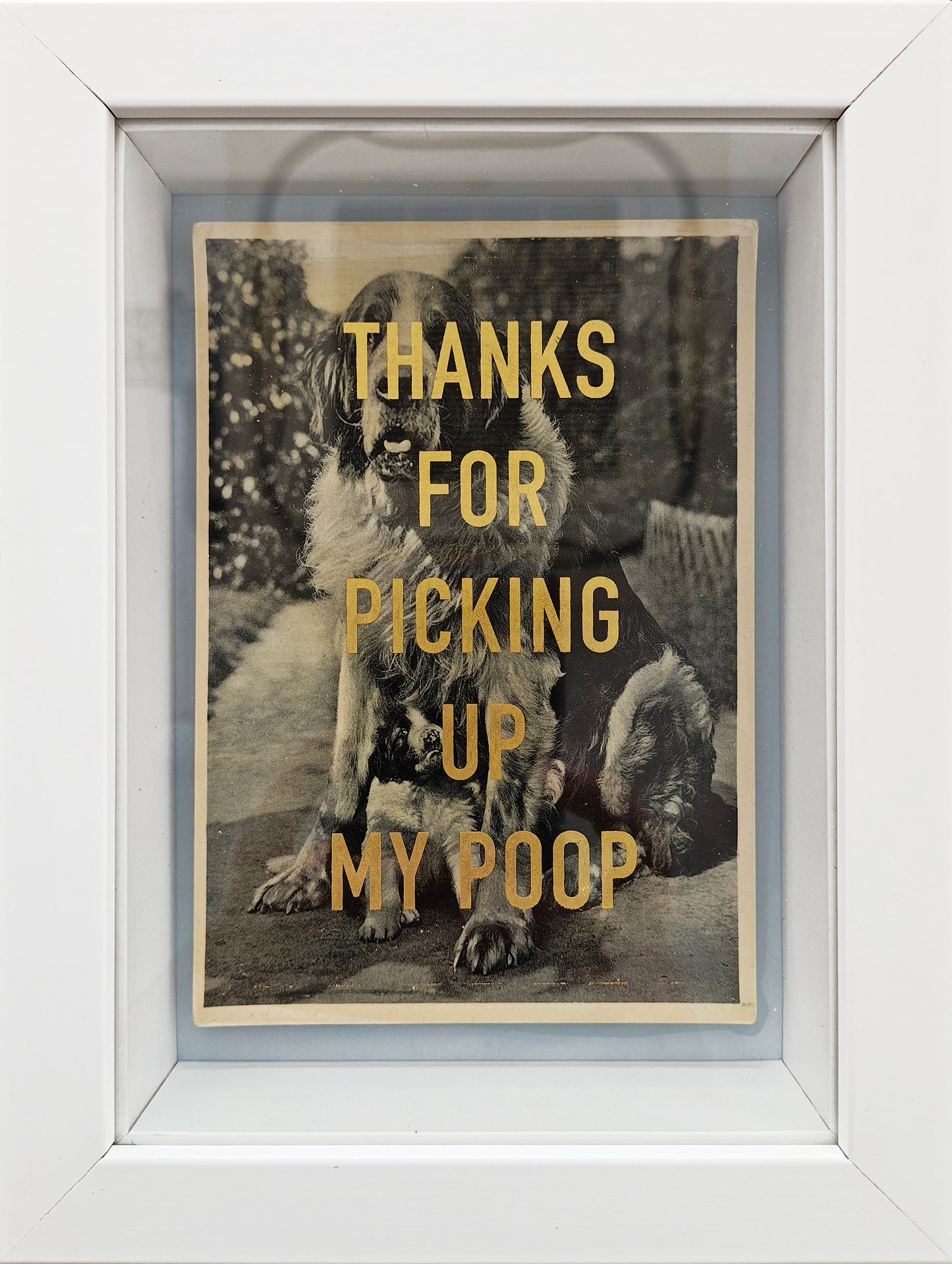 Thanks... (Framed)