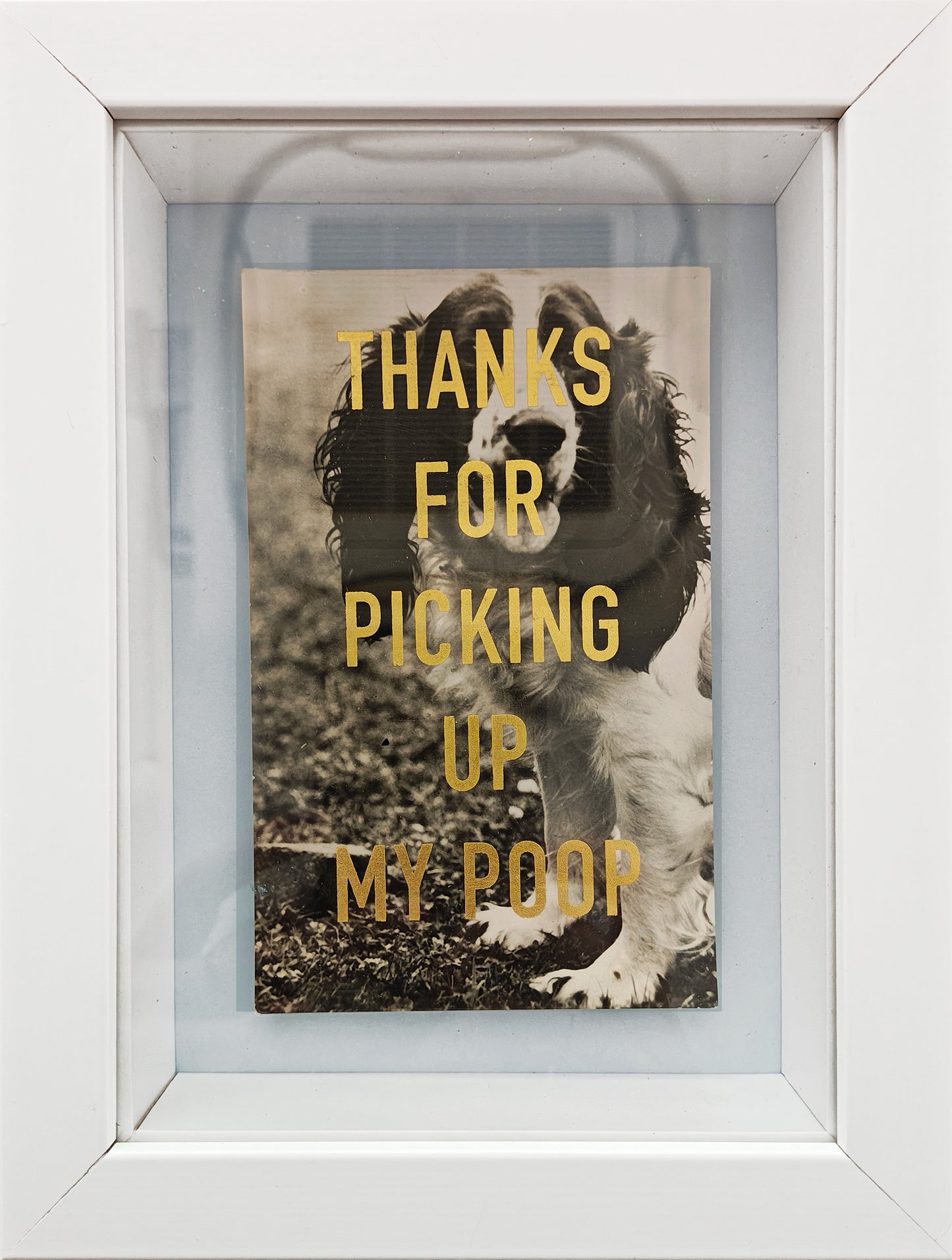 Thanks... (Framed)