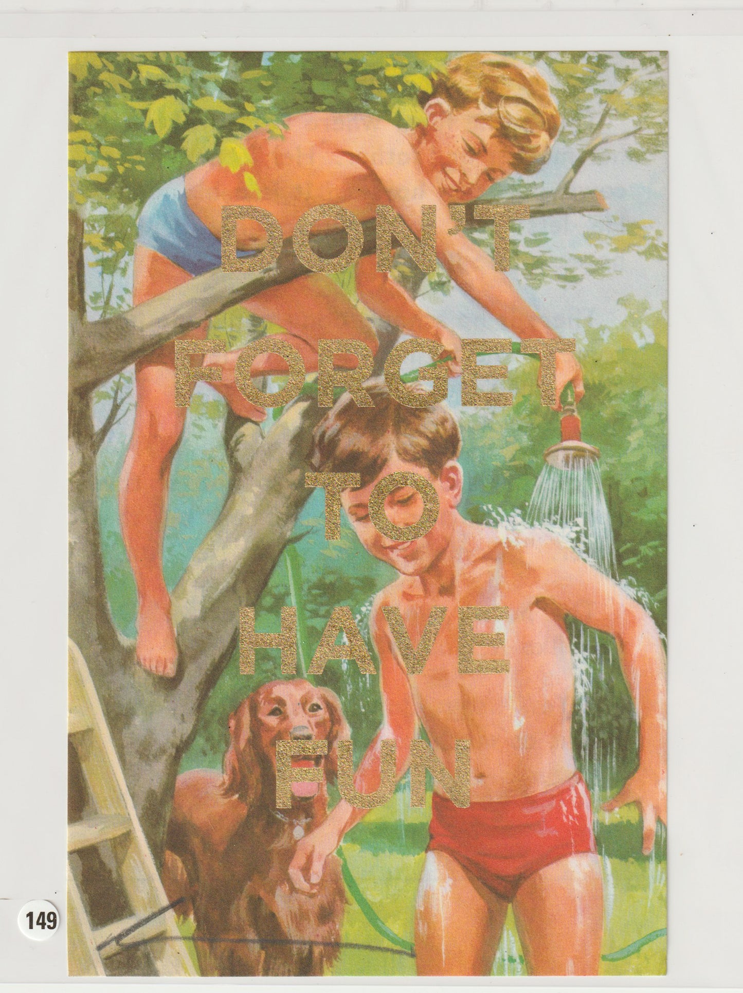 Don't Forget To Have Fun