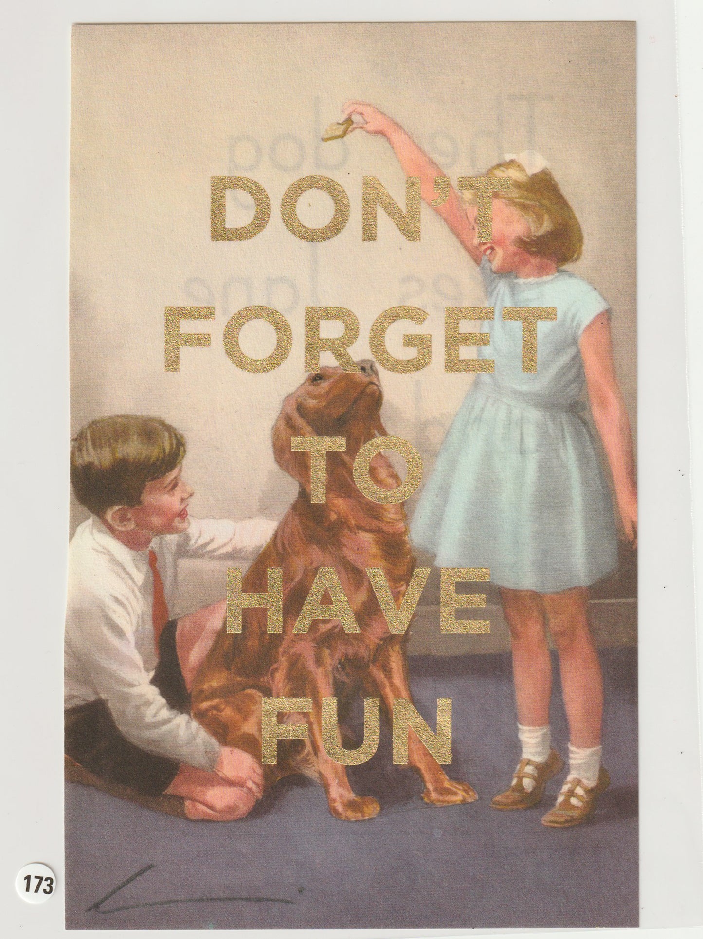 Don't Forget To Have Fun
