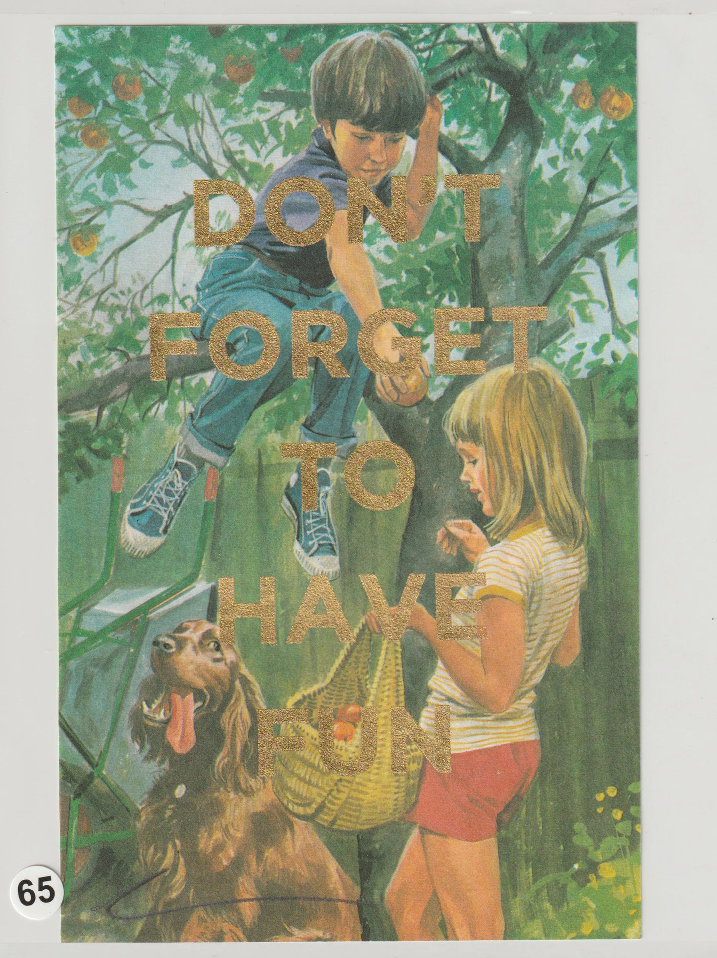 Don't Forget To Have Fun