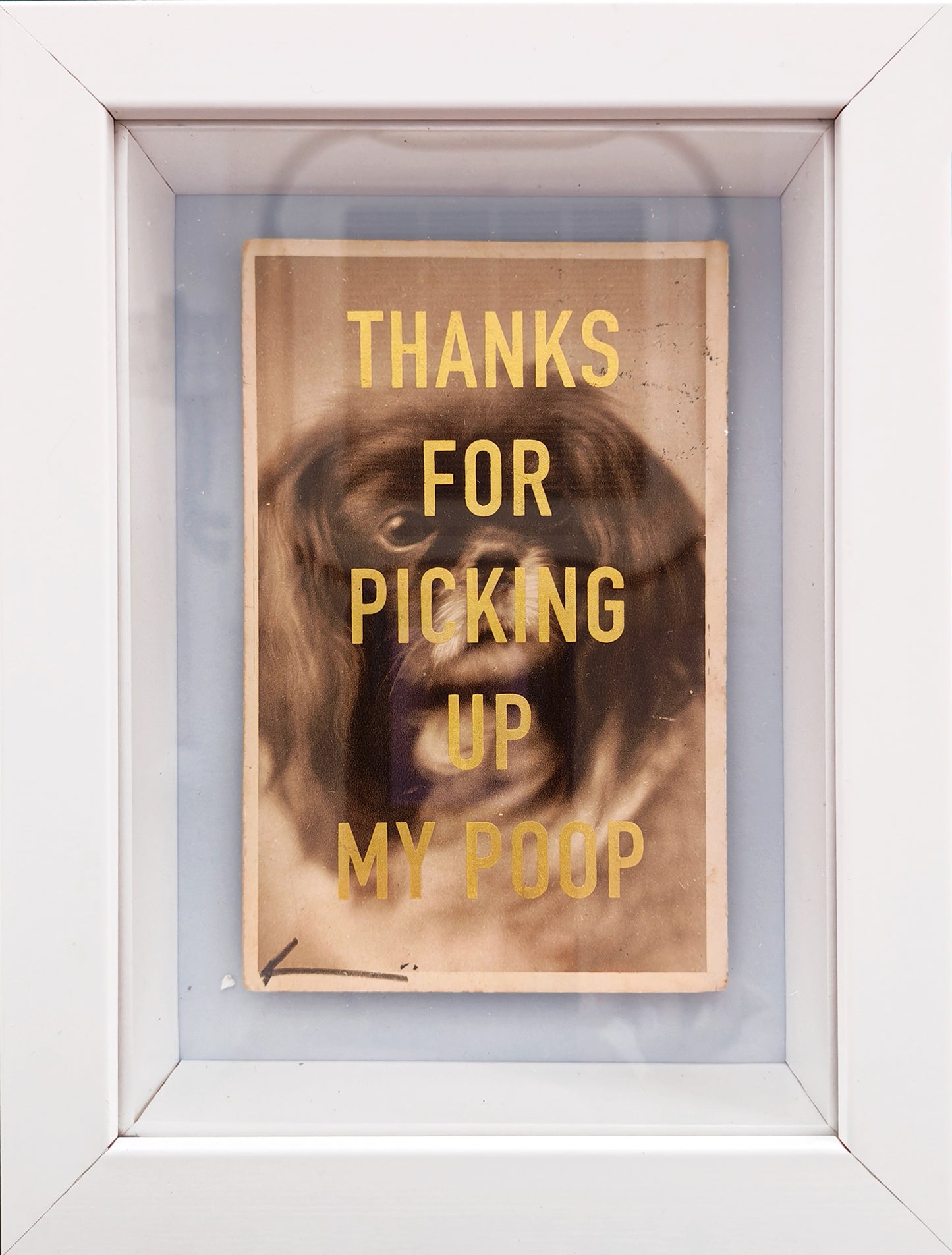 Thanks... (Framed)