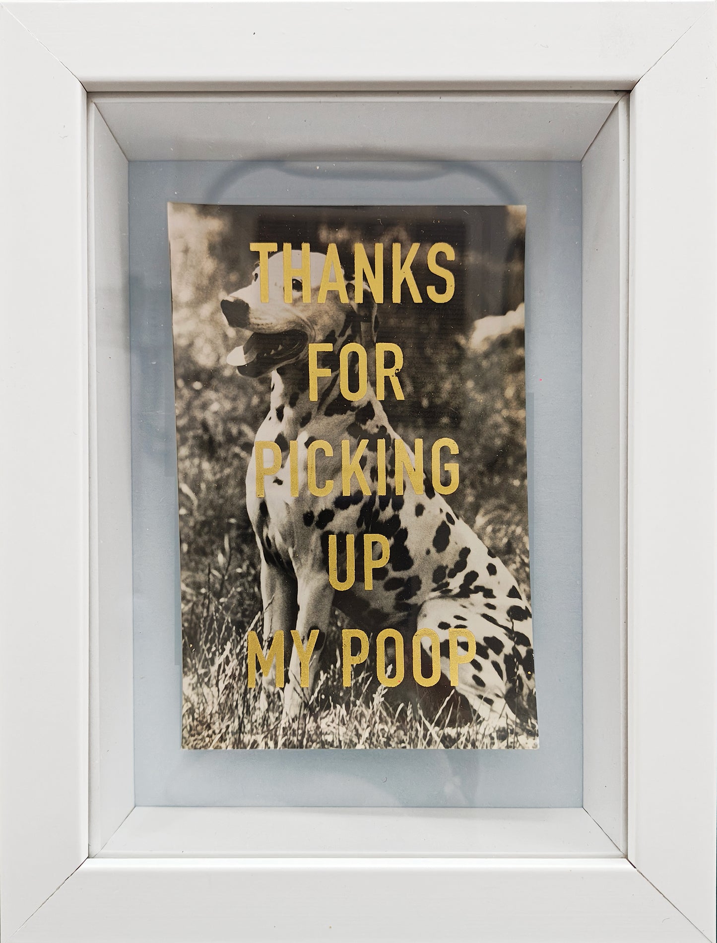 Thanks... (Framed)