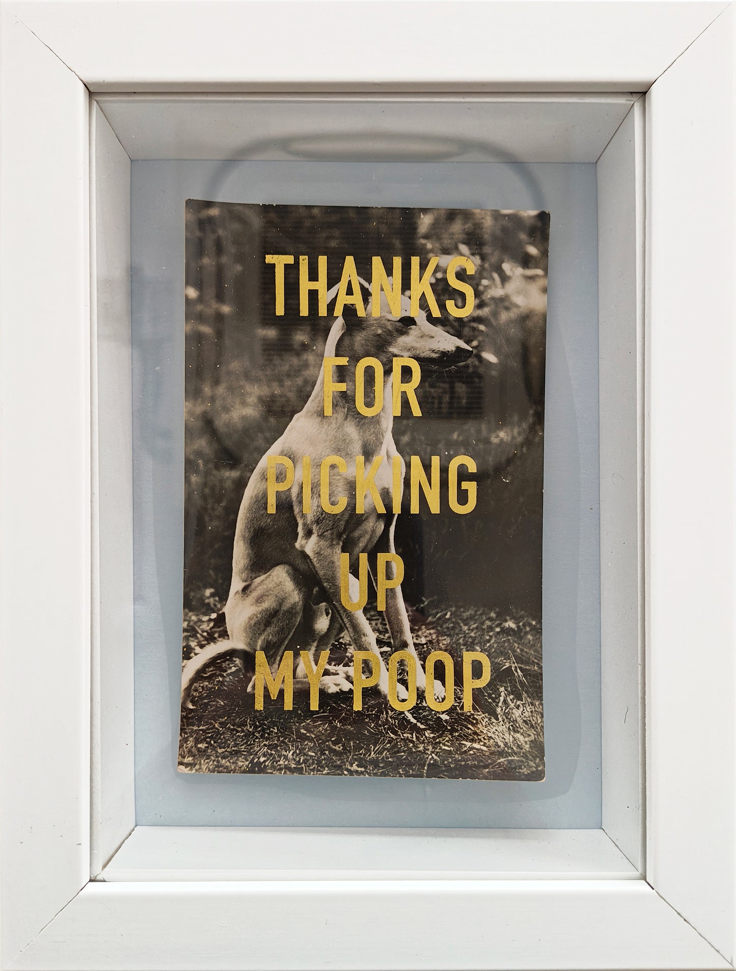 Thanks... (Framed)
