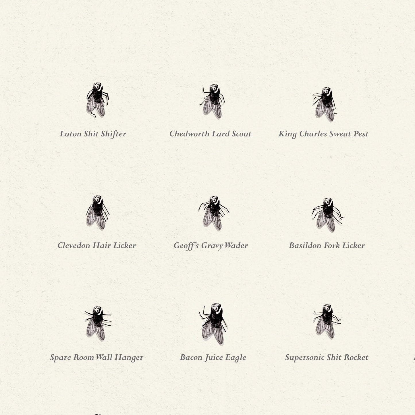 Flies of British Isles