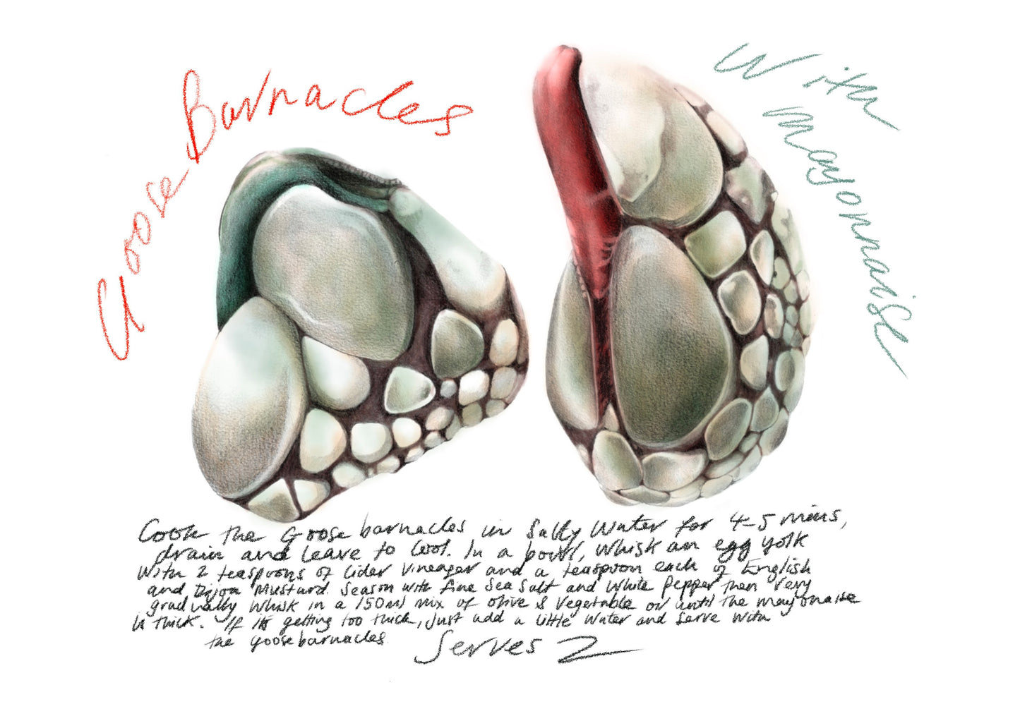 Barnacles with Mayonnaise