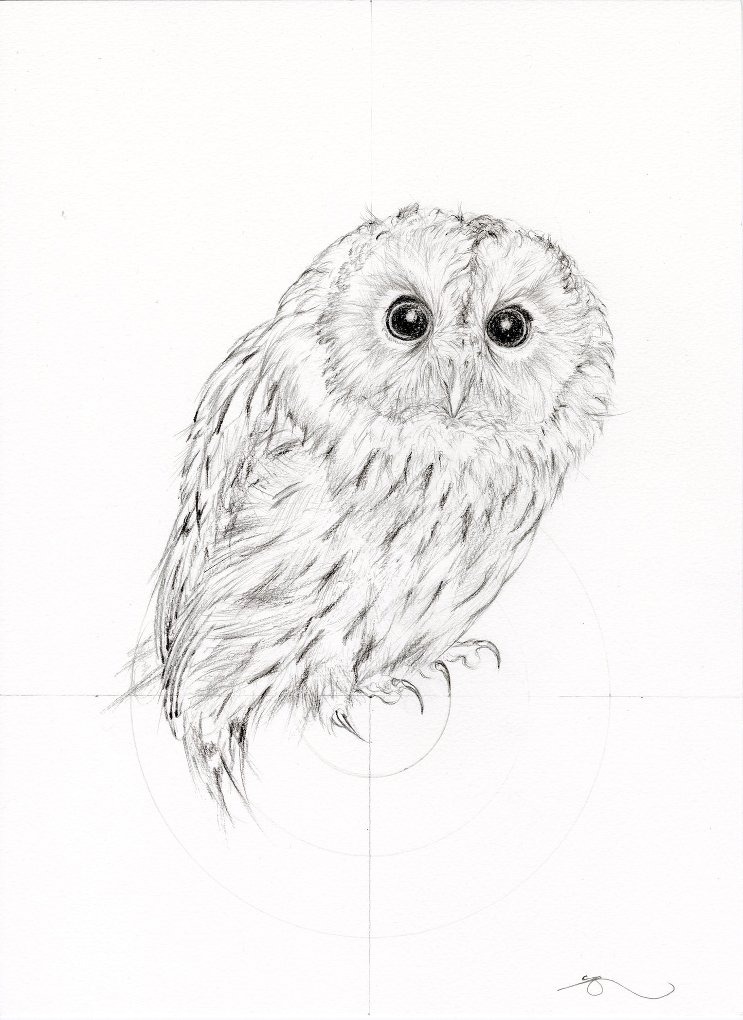 Jealous Owl 1