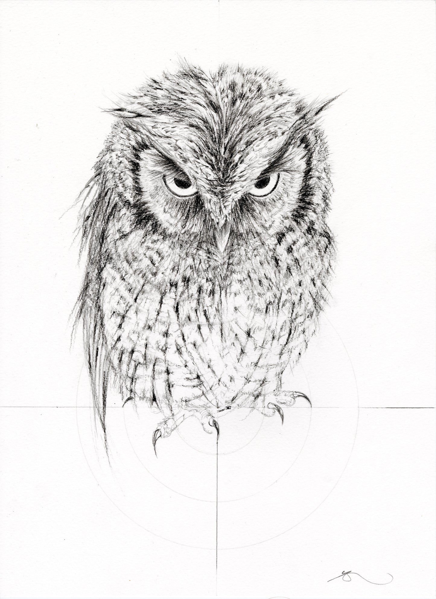 Jealous Owl 4