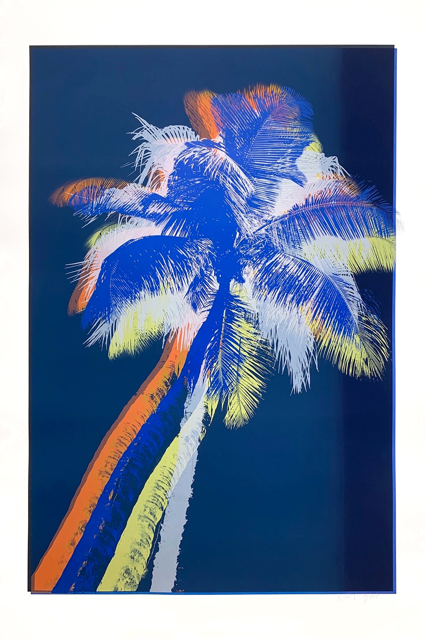 Midnight Palms