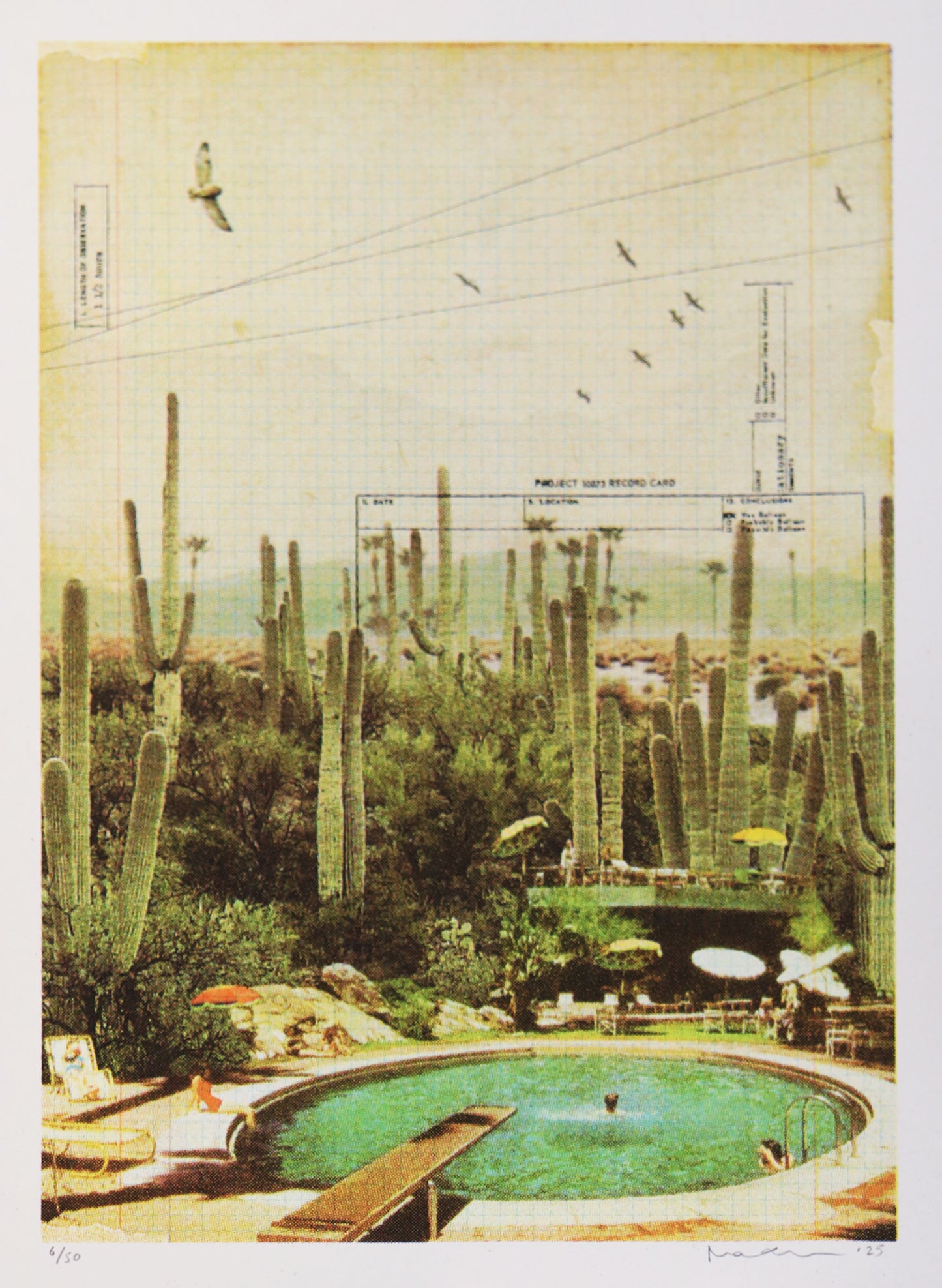 At the Foot of the Cacti - A4 Edition