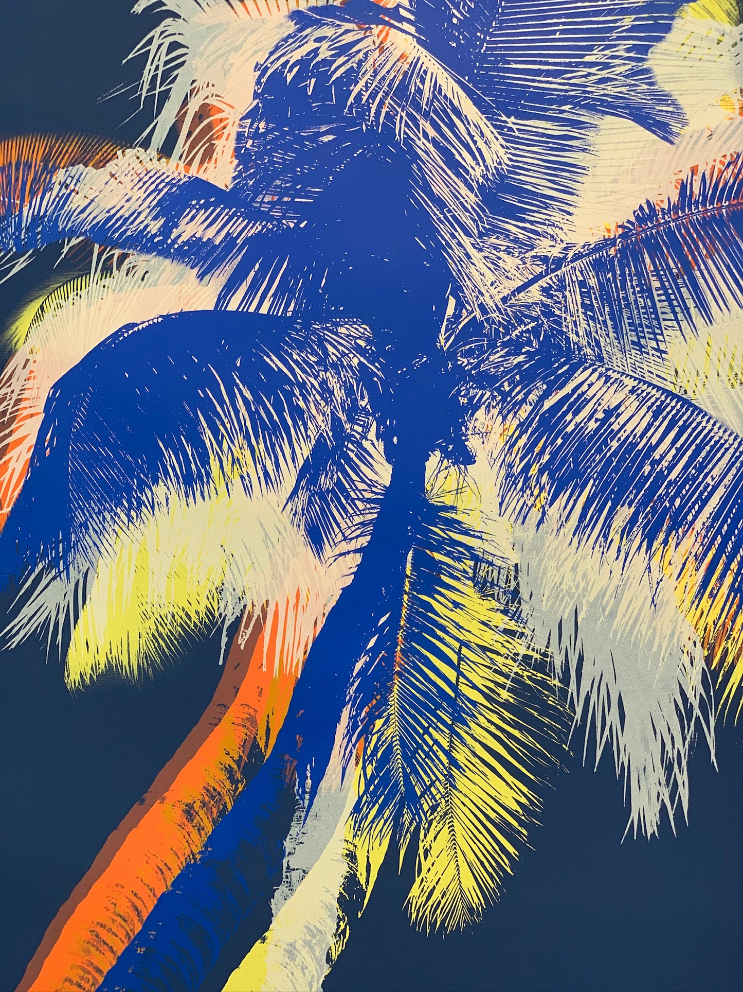 Midnight Palms