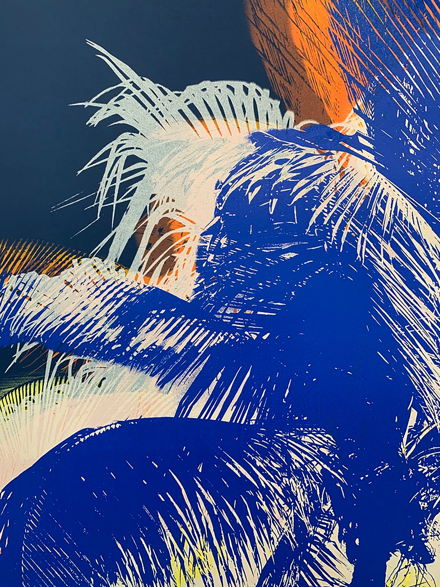 Midnight Palms