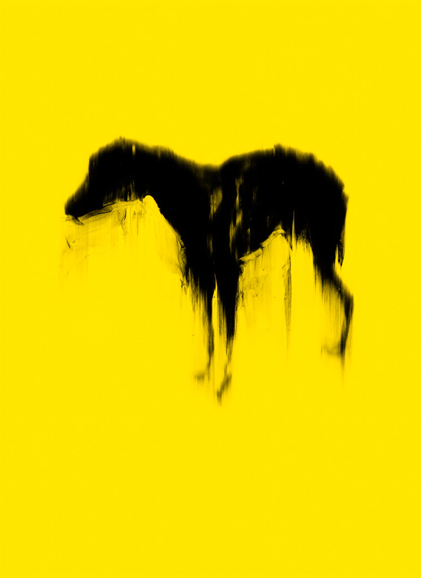 Black Dog (Yellow)