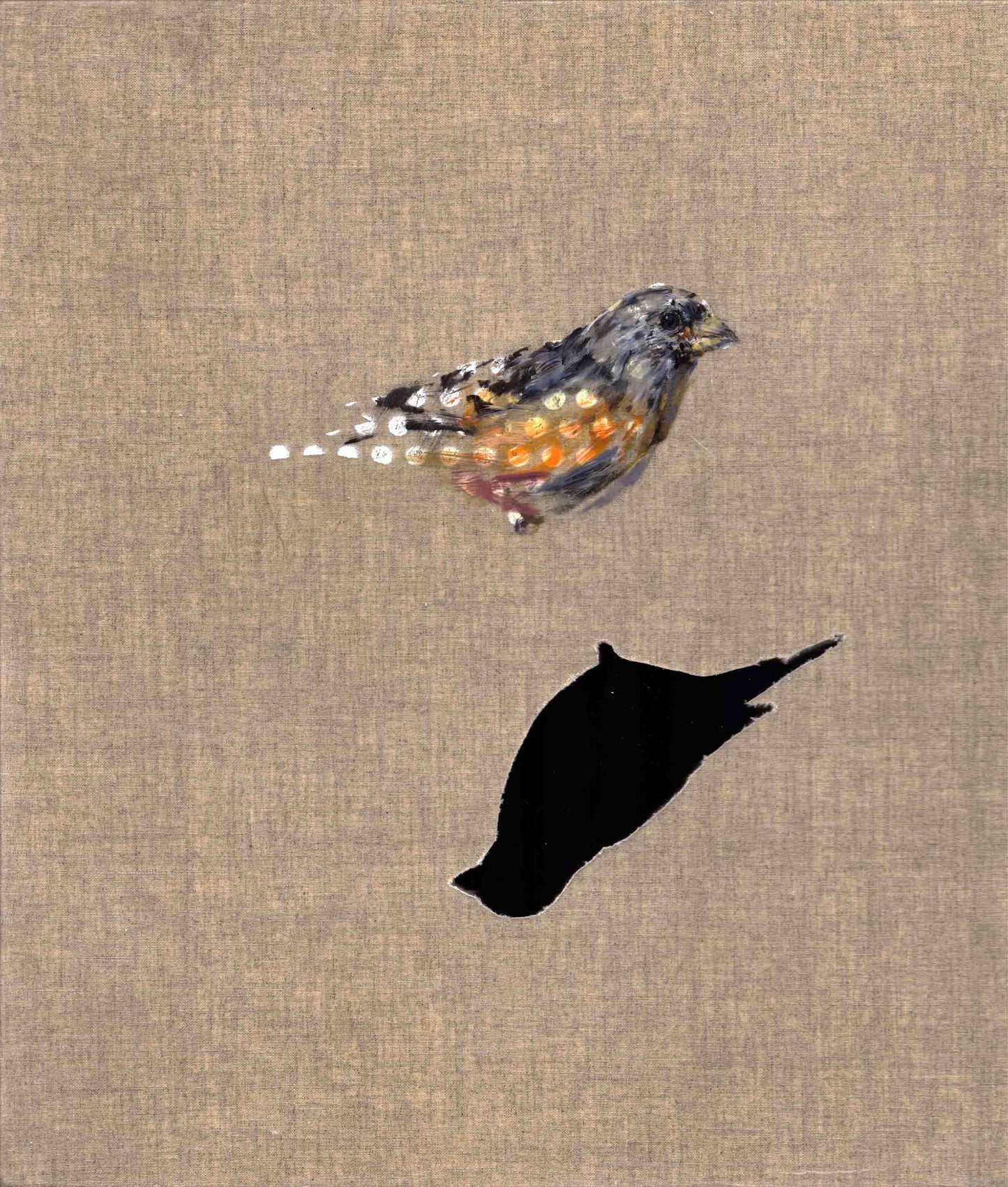 Small Wonders - Brambling