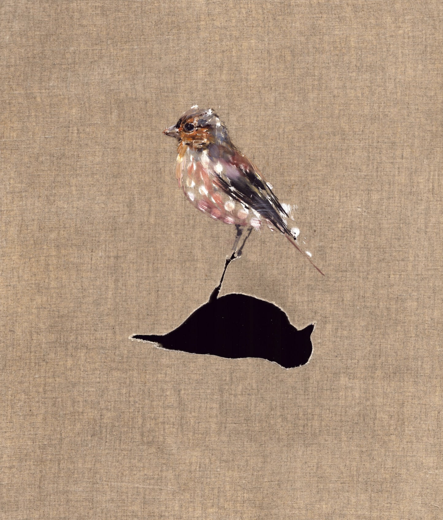 Small Wonders - Chaffinch