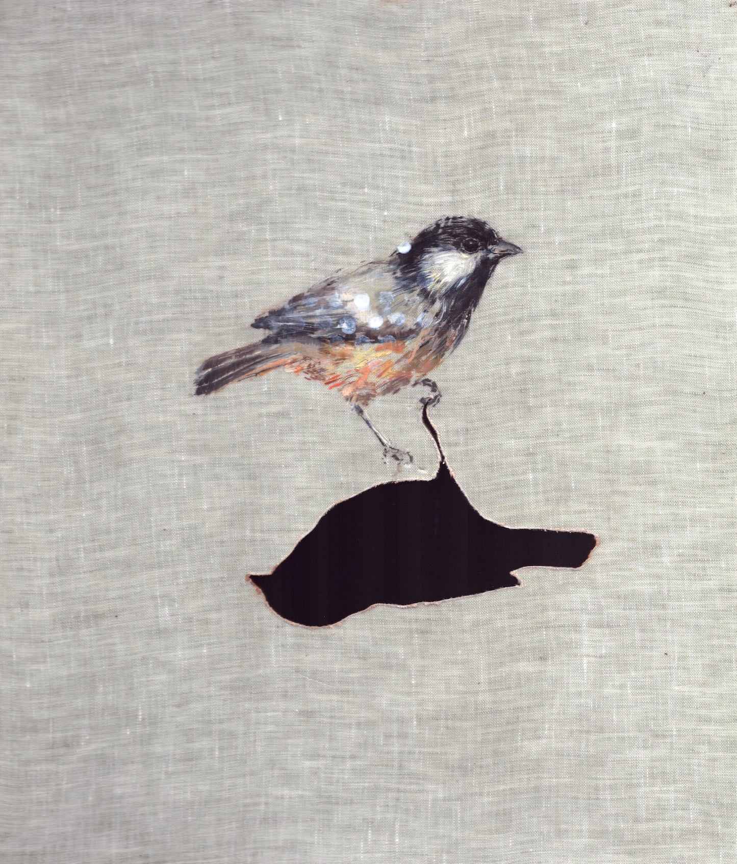 Small Wonders - Coal Tit
