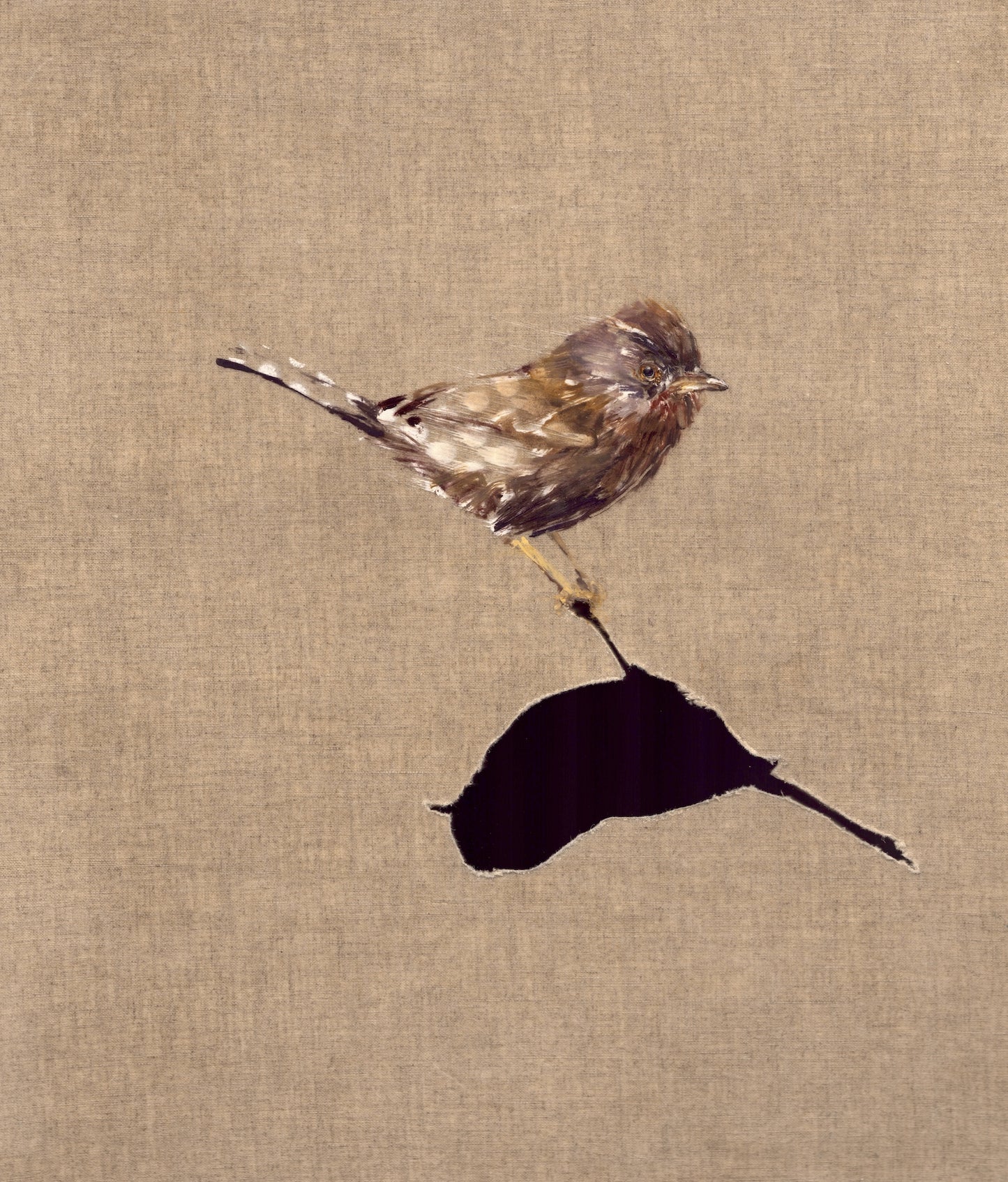 Small Wonders - Dartford Warbler 1