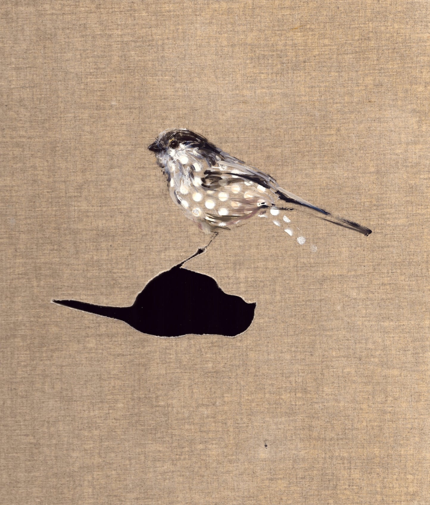 Small Wonders - Long Tailed Tit