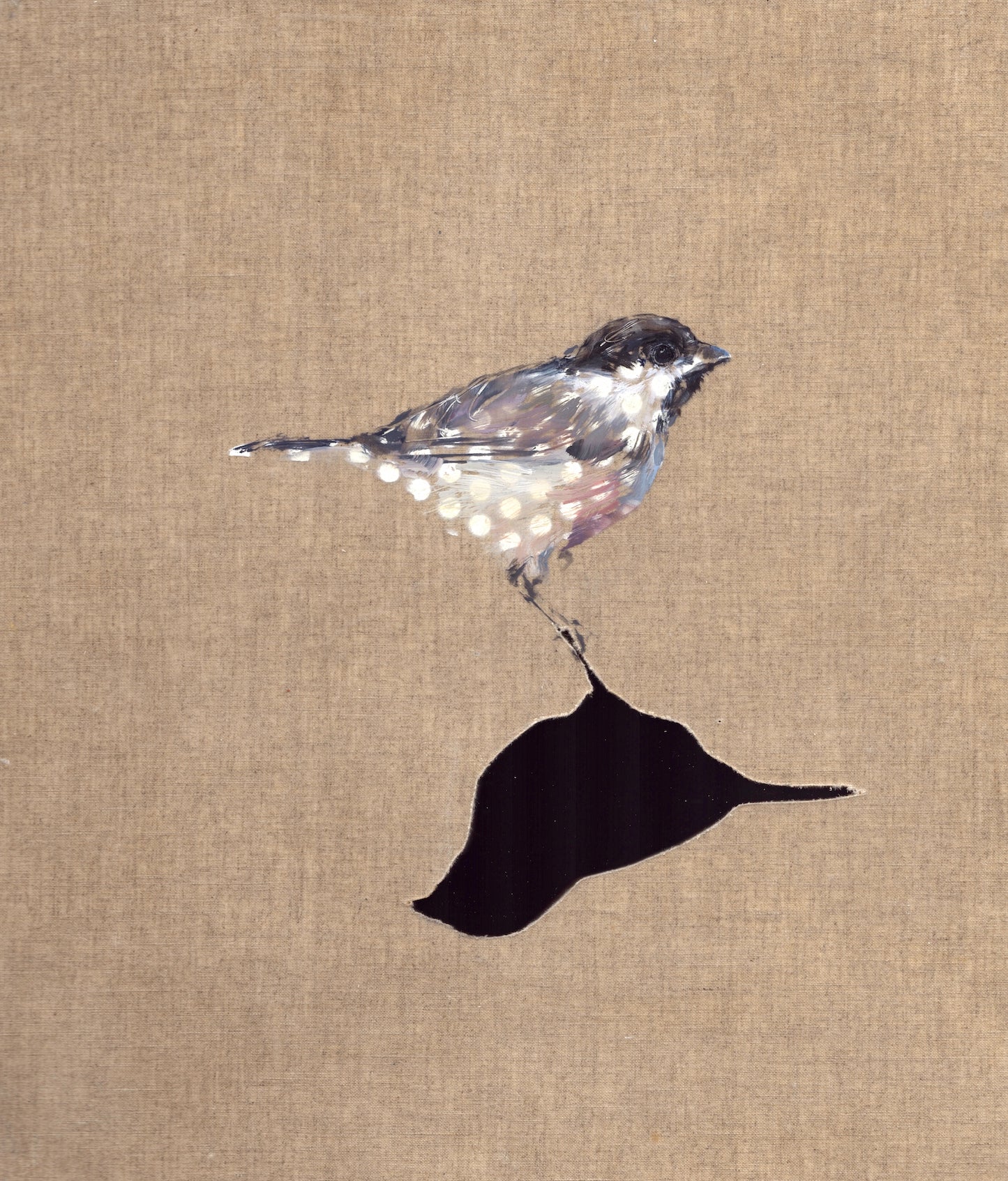 Small Wonders - Marsh Tit