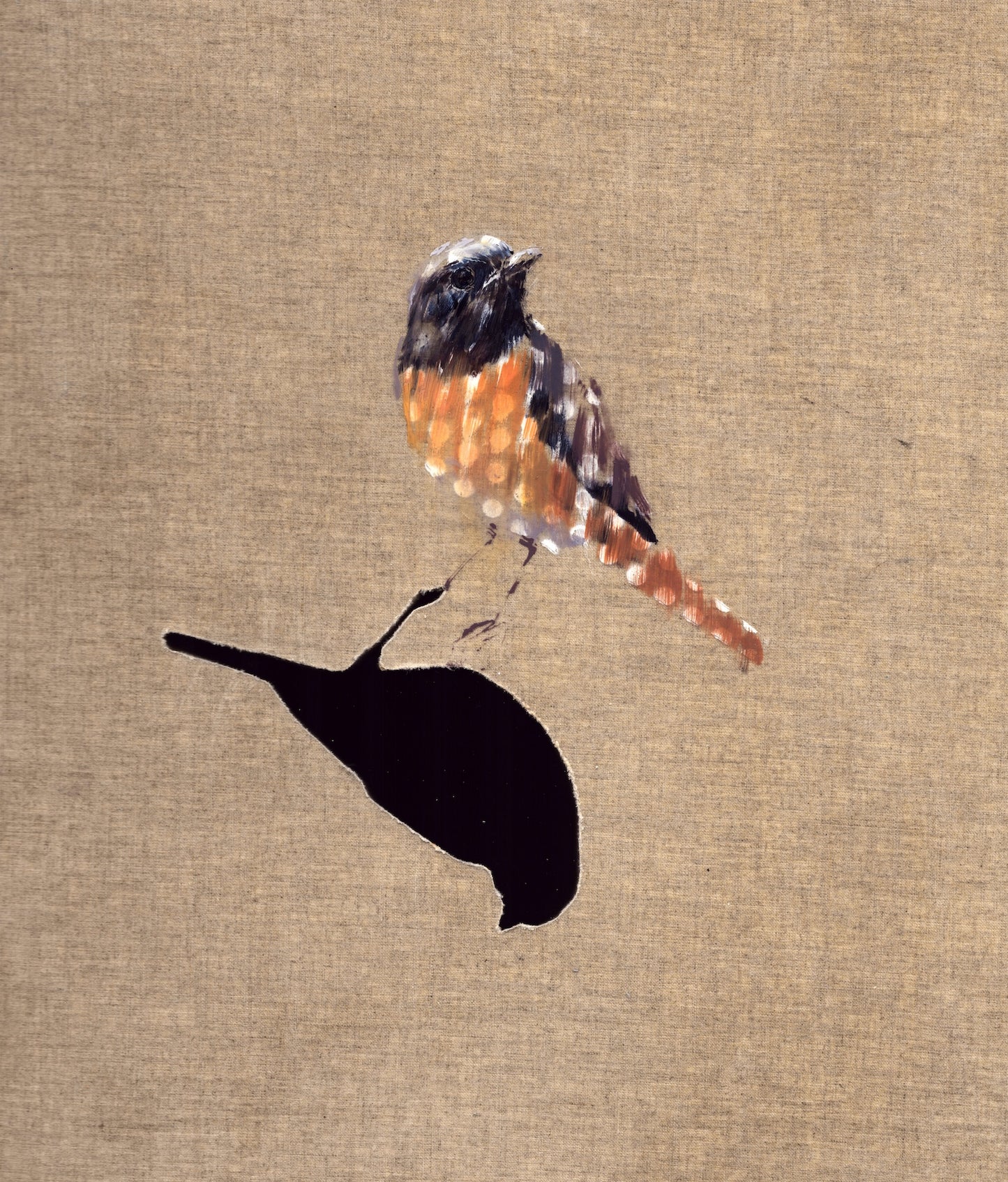 Small Wonders - Redstart 1