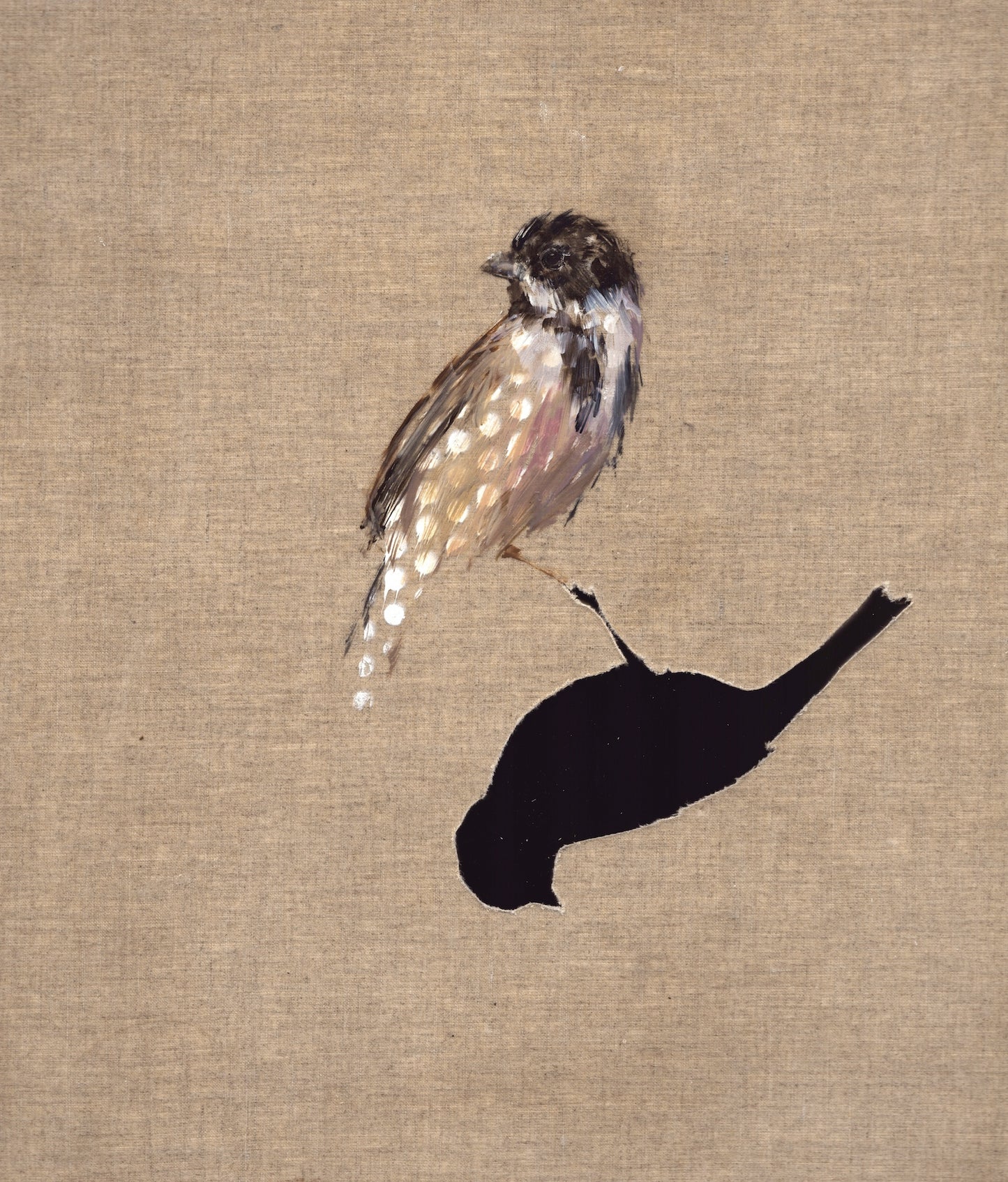 Small Wonders - Reed Bunting