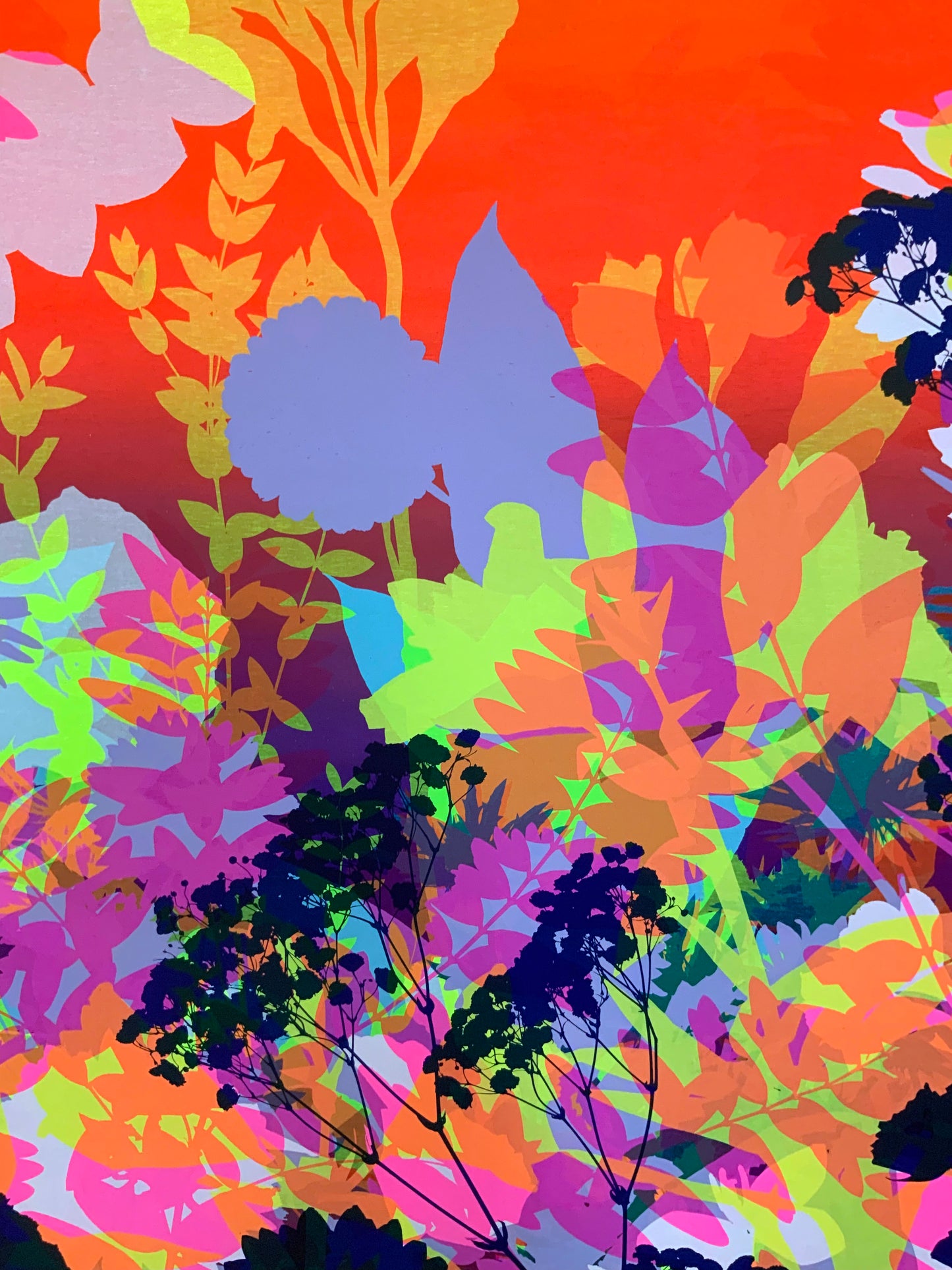 Sunset 01