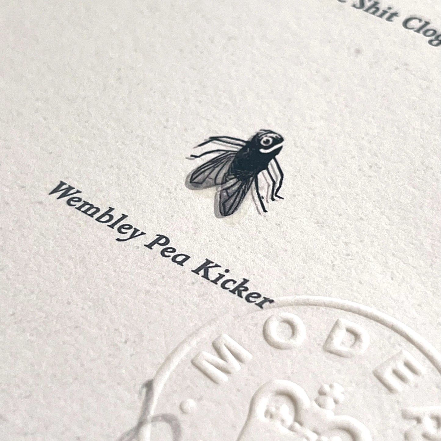 Flies of British Isles