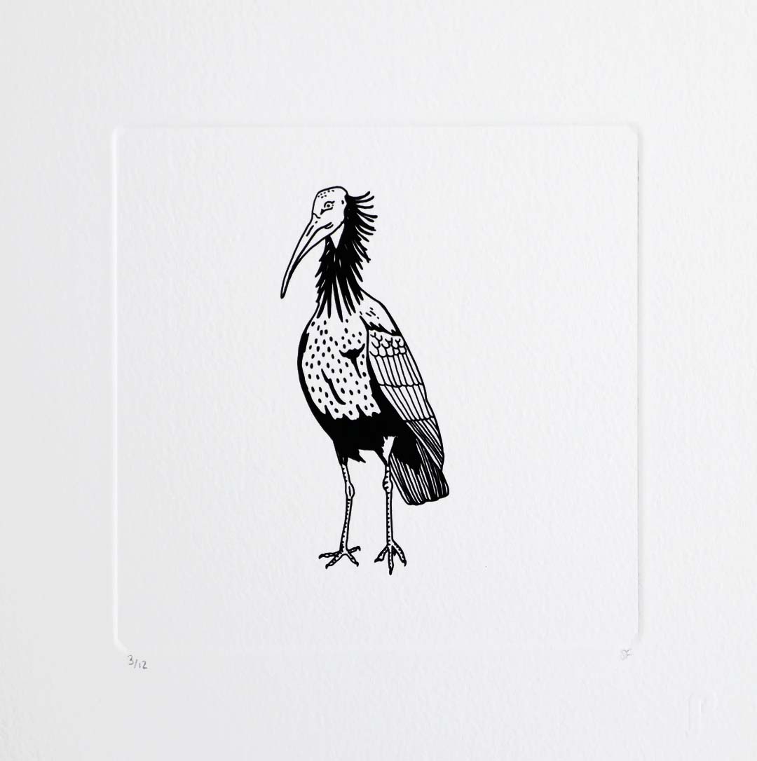 Bird 71