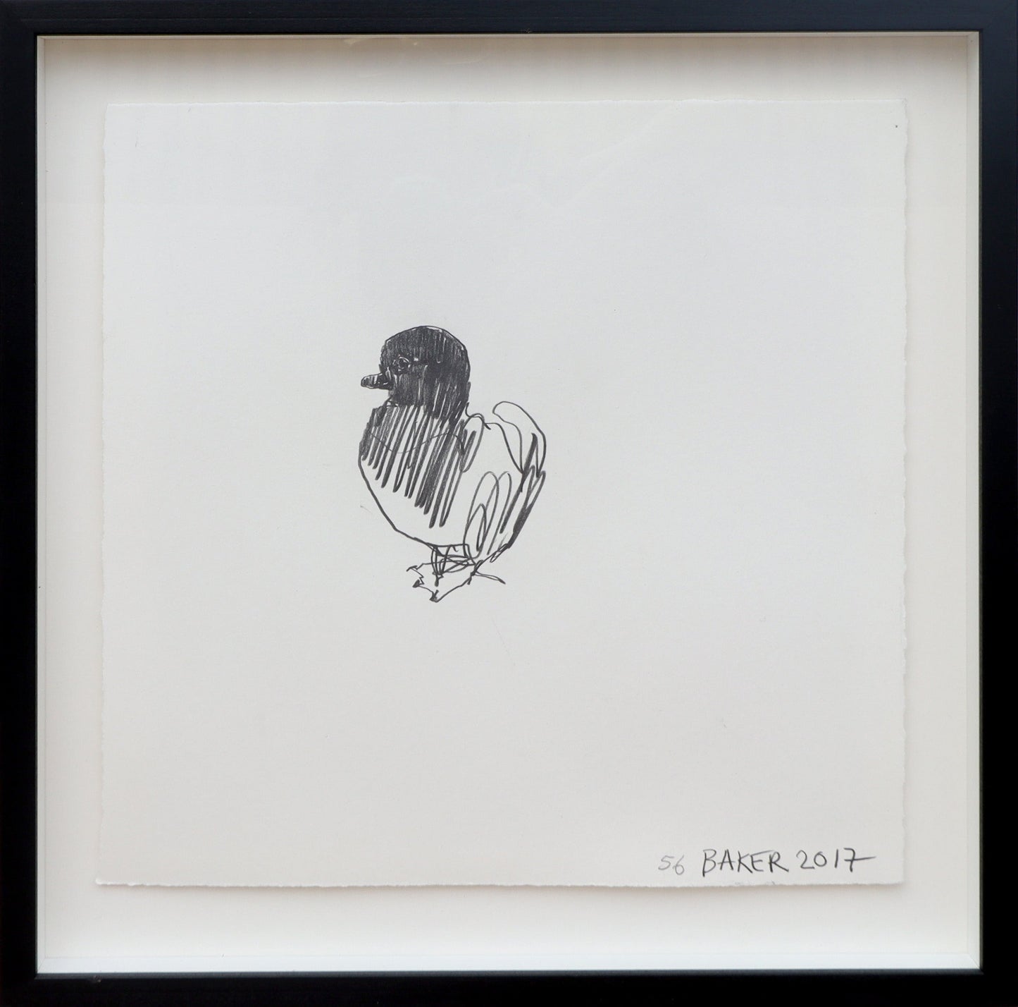 Duckling #56 Gino