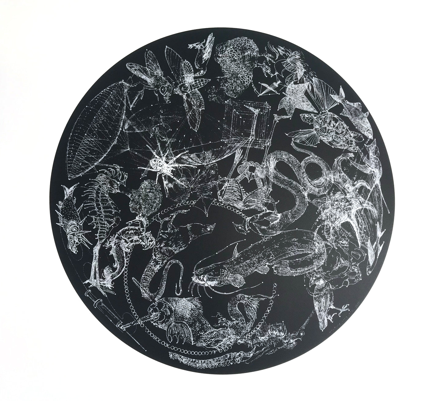 The Age Of Discovery