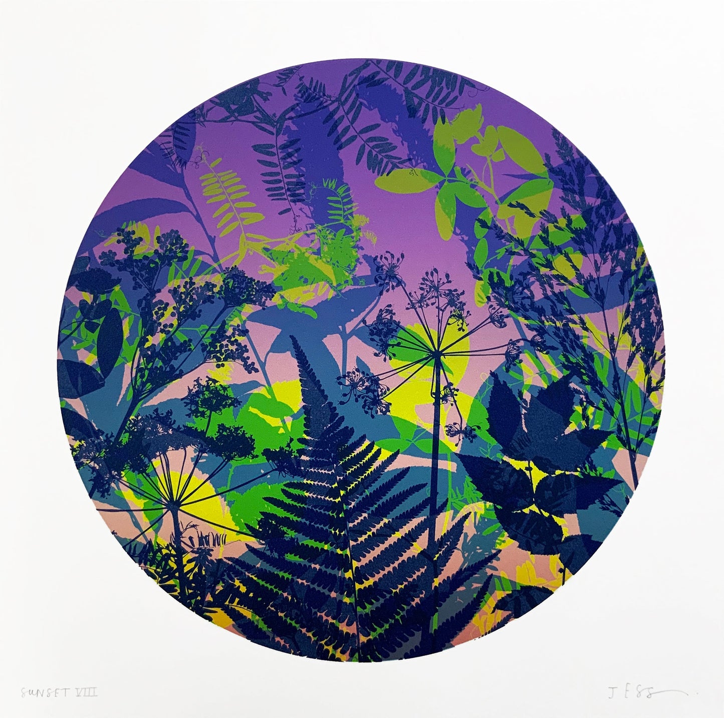 Sunset VIII