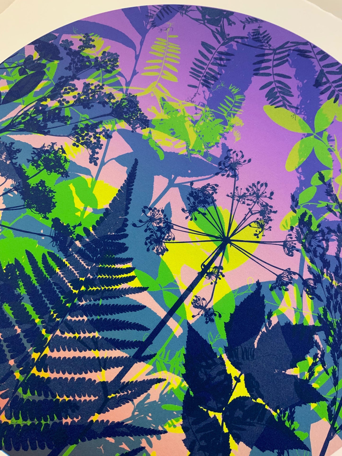 Sunset VIII